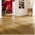 Focus Floor Classic Дуб Levante 3S