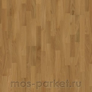Focus Floor Classic Дуб Levante 3S