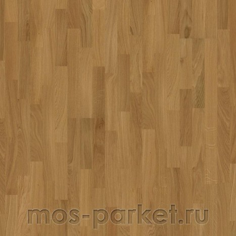 Focus Floor Classic Дуб Levante 3S