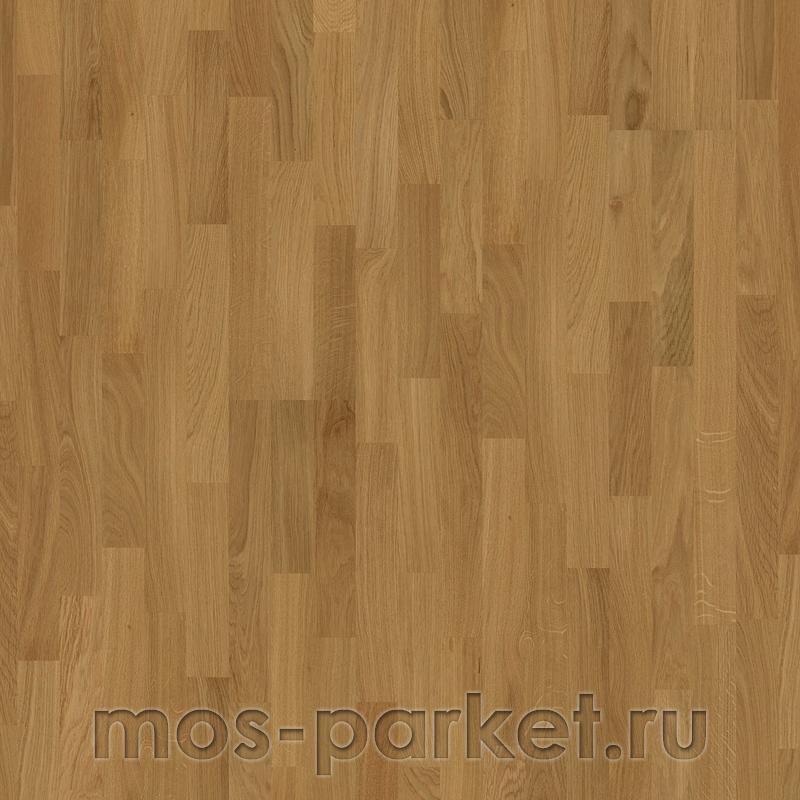Focus Floor Classic Дуб Levante 3S