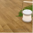 Focus Floor Classic Дуб Levante 3S