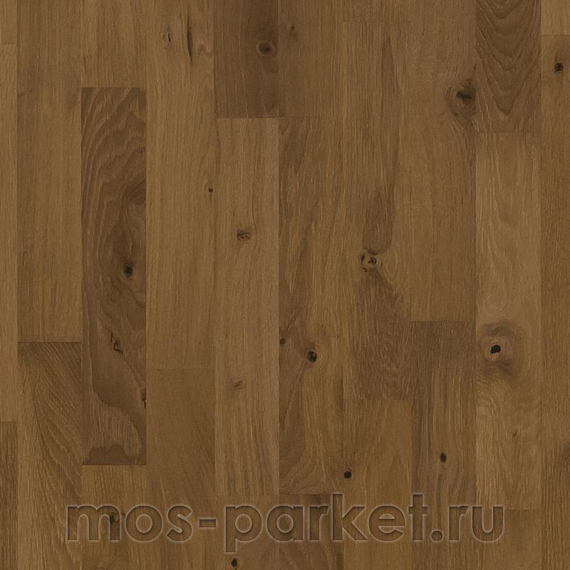 Focus Floor Classic Дуб Zephyr Oiled 3S