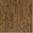 Focus Floor Classic Дуб Zephyr Oiled 3S