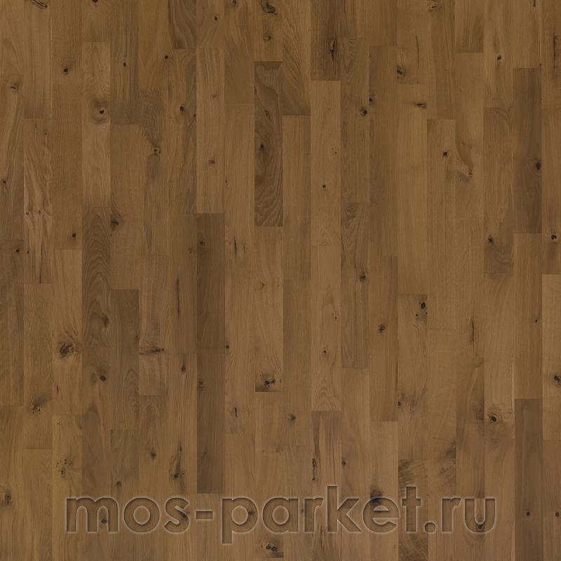 Focus Floor Classic Дуб Zephyr Oiled 3S