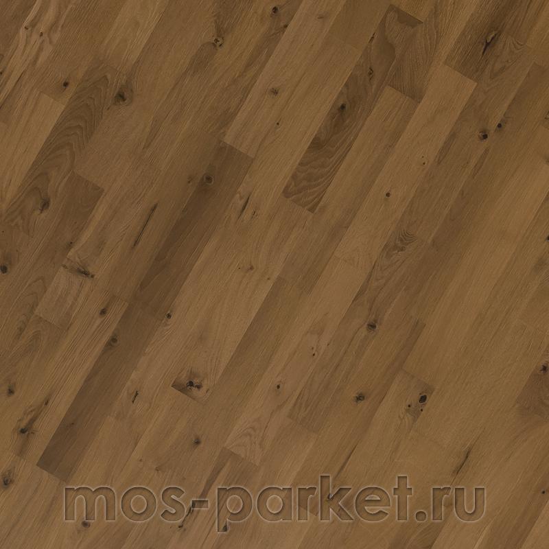 Focus Floor Classic Дуб Zephyr Oiled 3S