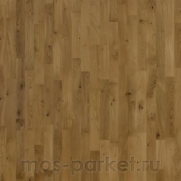 Focus Floor Classic Дуб Patagonia Matt 3S