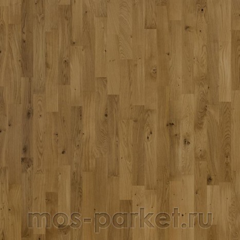 Focus Floor Classic Дуб Patagonia Matt 3S