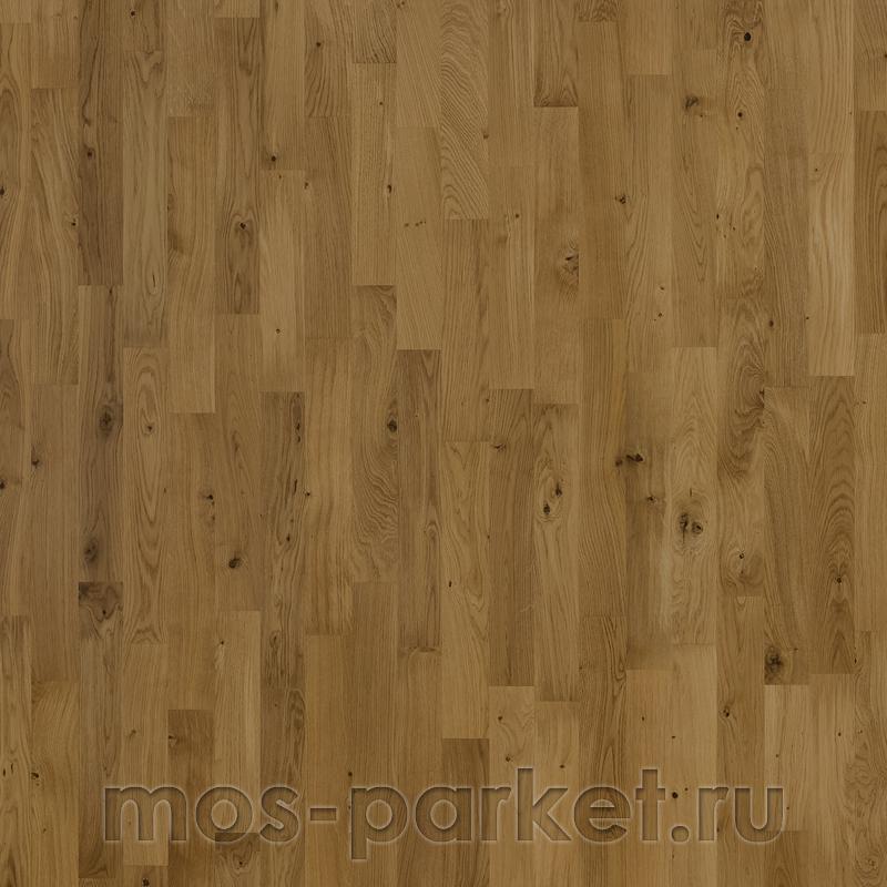 Focus Floor Classic Дуб Patagonia Matt 3S