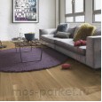 Focus Floor Classic Дуб FP138 Levante