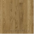 Focus Floor Classic Дуб FP138 Levante