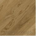 Focus Floor Classic Дуб FP138 Levante