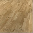 Focus Floor Season Дуб Bright Matt 3S