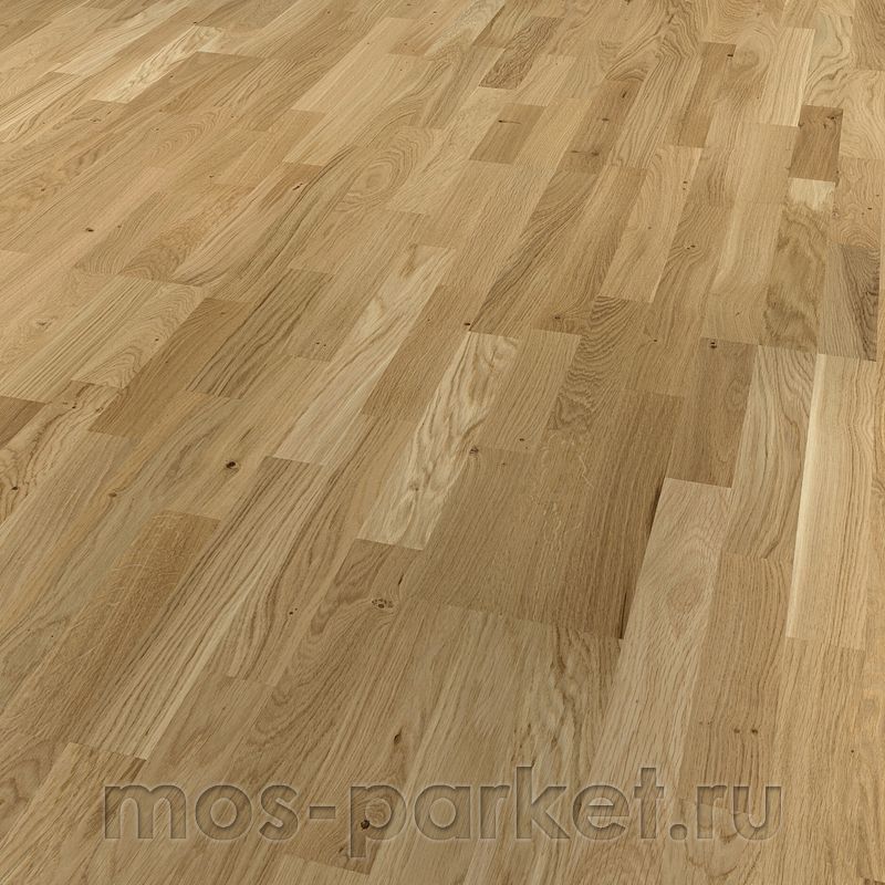 Focus Floor Season Дуб Bright Matt 3S
