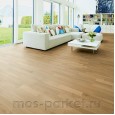 Focus Floor Season Дуб Charming Matt 3S