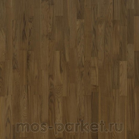 Focus Floor Classic Дуб Lombarde Matt 3S