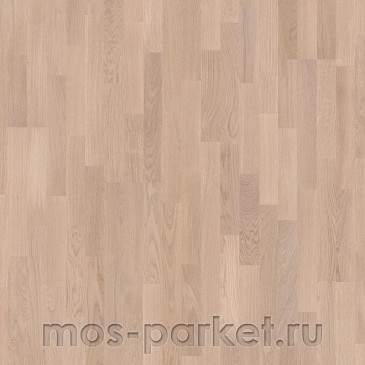 Focus Floor Classic Дуб Ostro White Matt 3S