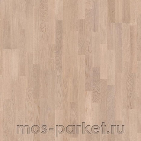 Focus Floor Classic Дуб Ostro White Matt 3S