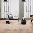 Focus Floor Classic Дуб Ostro White Matt 3S