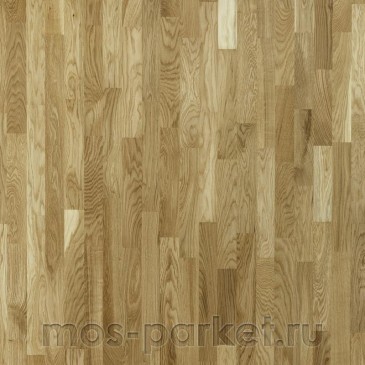 Focus Floor Classic Дуб Libeccio 3S