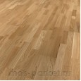 Focus Floor Season Дуб Cabare 3S