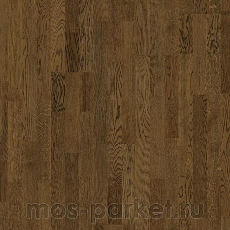 Focus Floor Classic Дуб Santa-Ana Oiled 3S