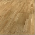 Focus Floor Season Дуб Glossy 3S