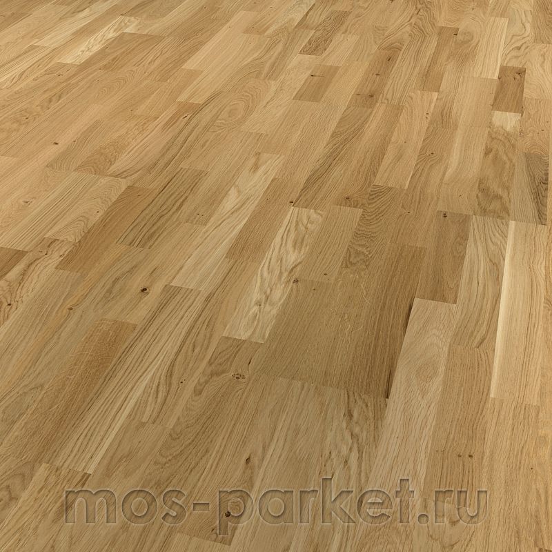 Focus Floor Season Дуб Glossy 3S