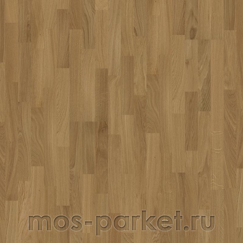 Focus Floor Classic Дуб Sirocco 3S