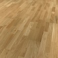 Focus Floor Season Дуб Glossy 3S