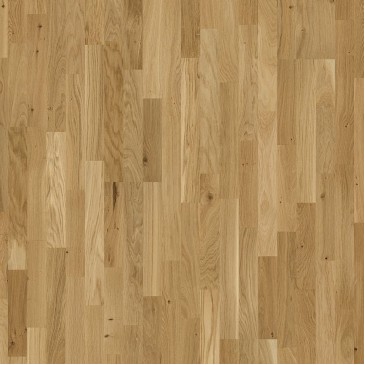 Focus Floor Season Дуб Glossy 3S