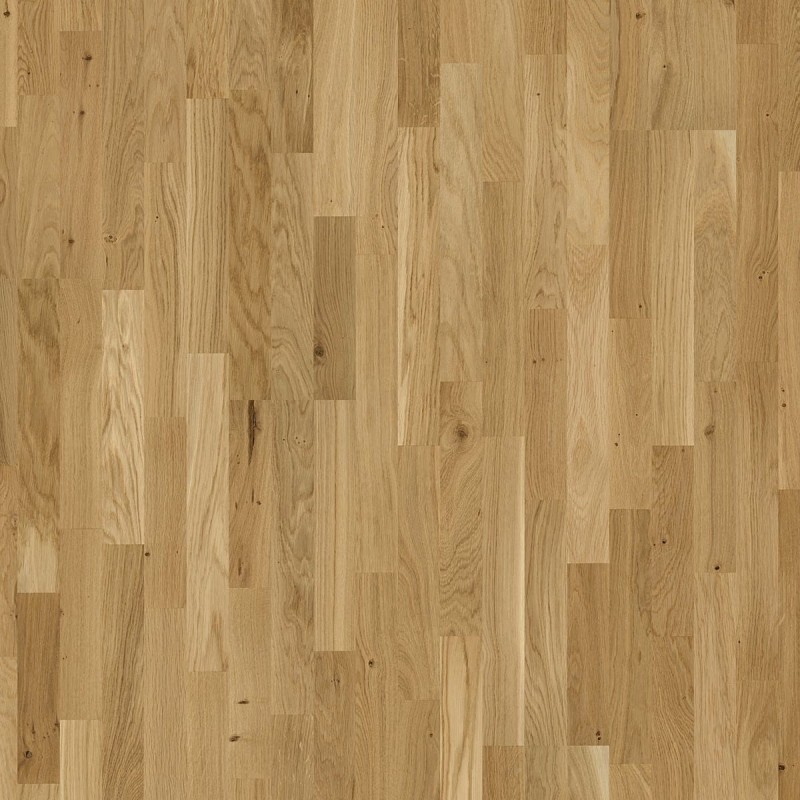 Focus Floor Season Дуб Glossy 3S