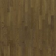 Focus Floor Season Дуб Lively Oiled 3S
