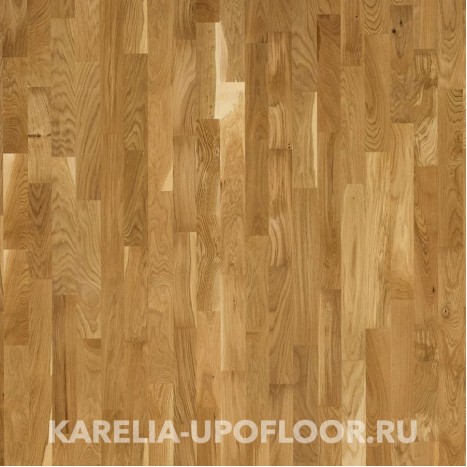 Polarwood Classic Дуб Living 3S