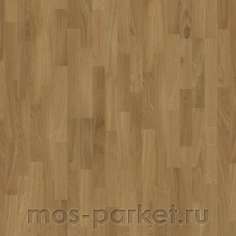 Focus Floor Classic Дуб Sirocco 3S