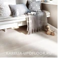 Ash Premium Dover FP
