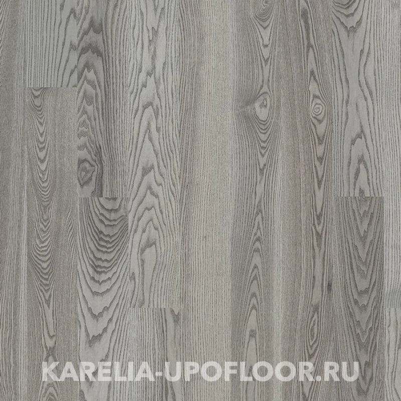 Ash Premium Chevalier Grey FP